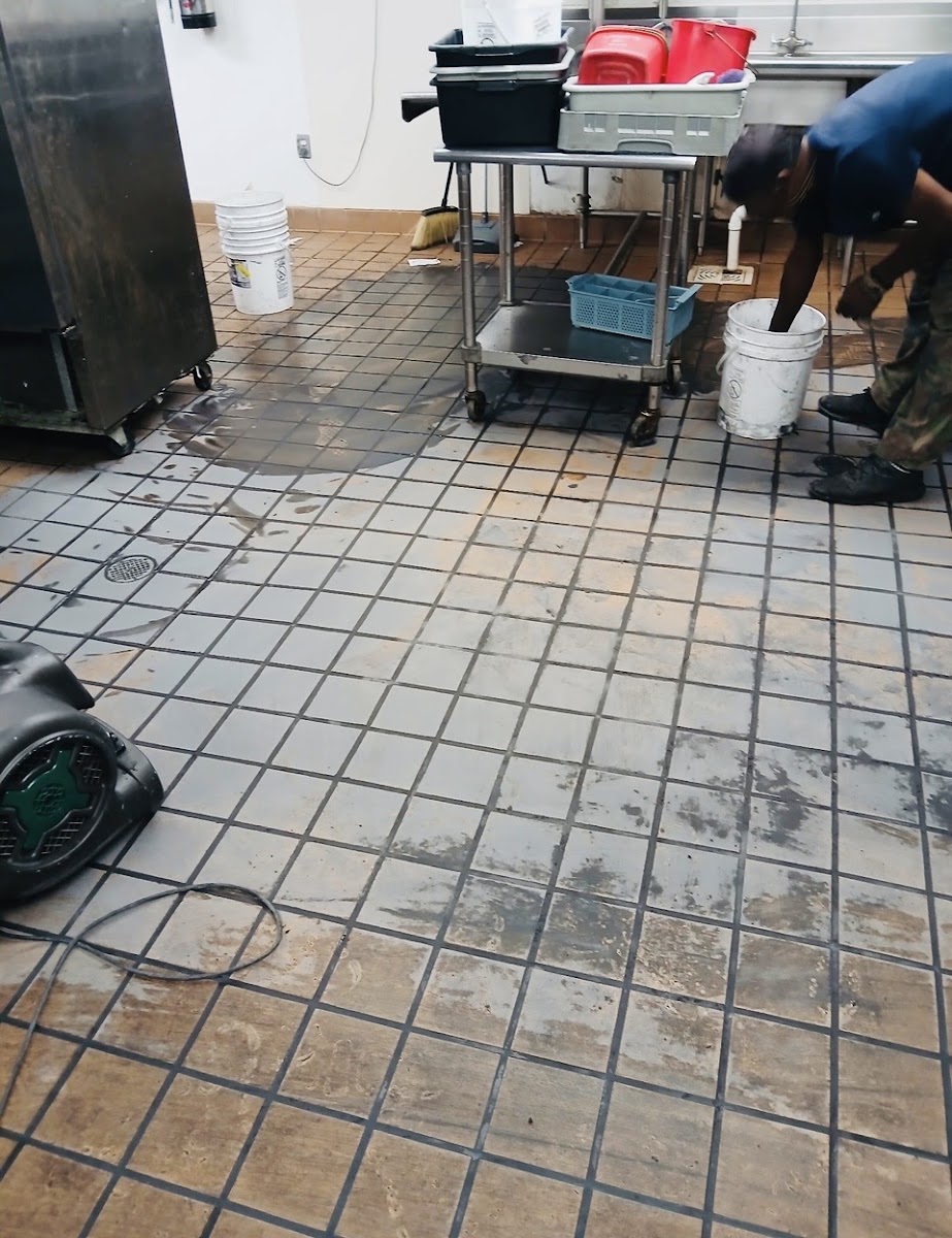 Aker and Associates restoring a commercial tile floor